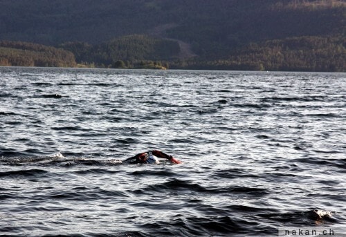 Nager dans un lac en Norvège