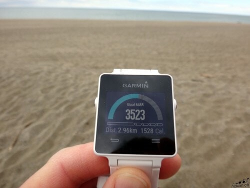 Garmin Vivoactive