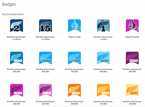 Garmin Connect Badges