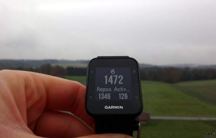 garmin_forerunner35_widget_calories_web.jpg