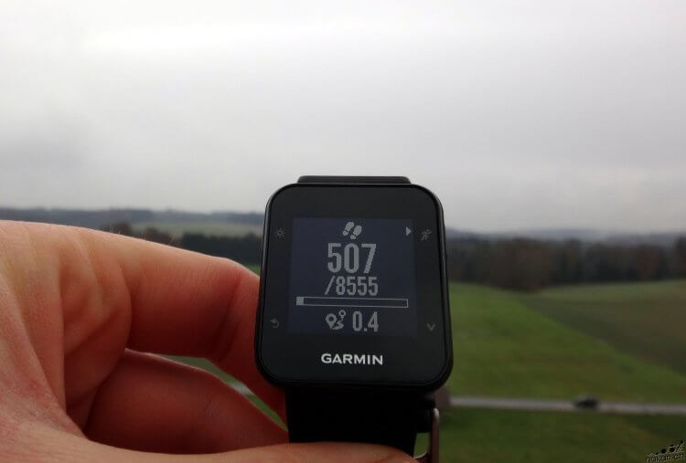 garmin_forerunner35_widget_steps_web.jpg