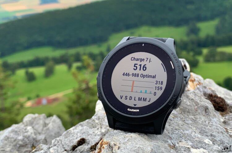 Test Garmin Venu SQ : une montre de sport allégée mais pertinente - Les  Numériques