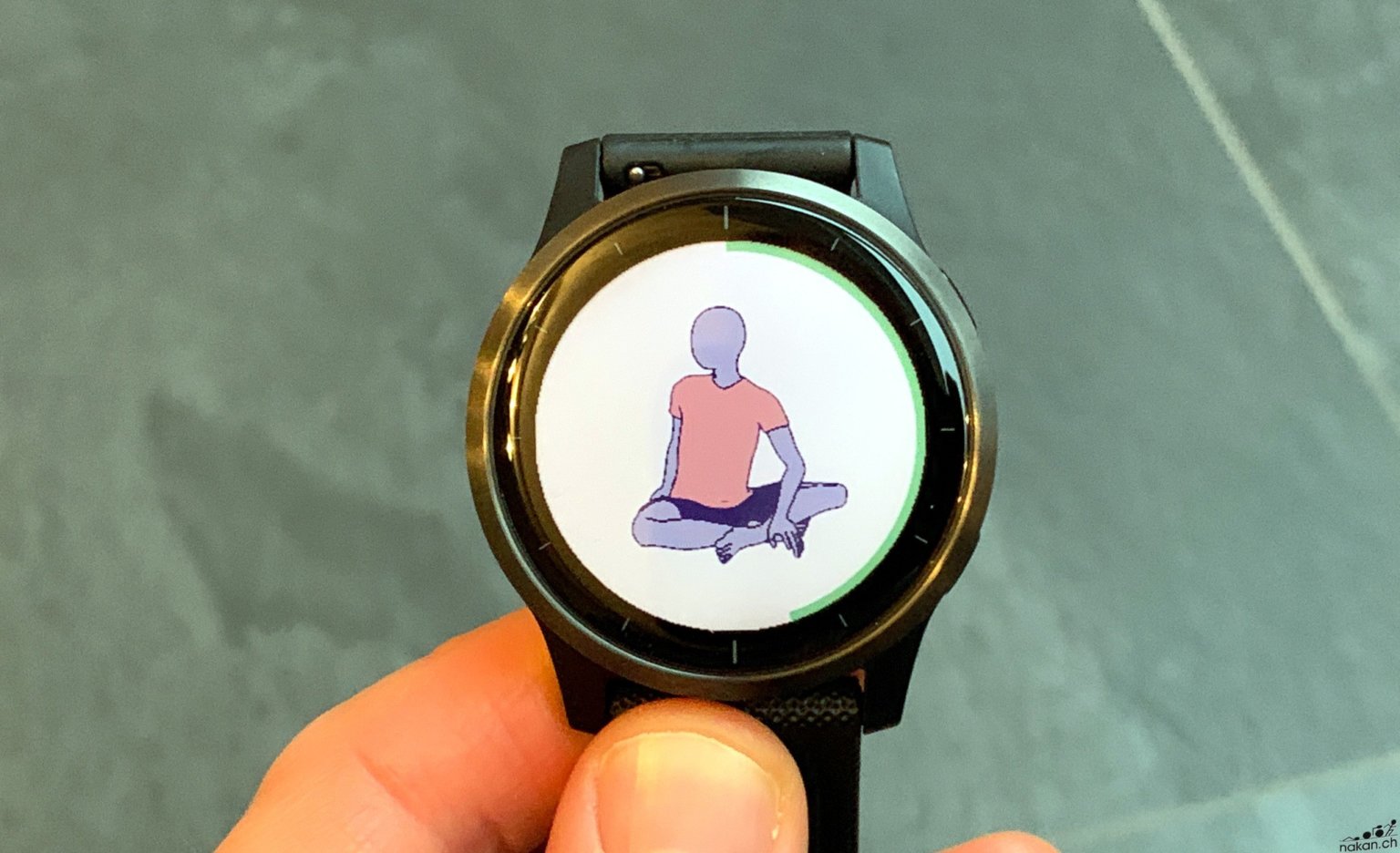 garmin vivo s4