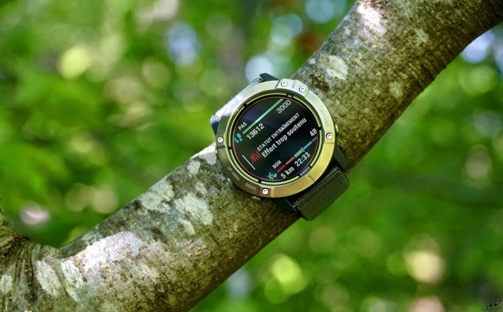  Montre Garmin