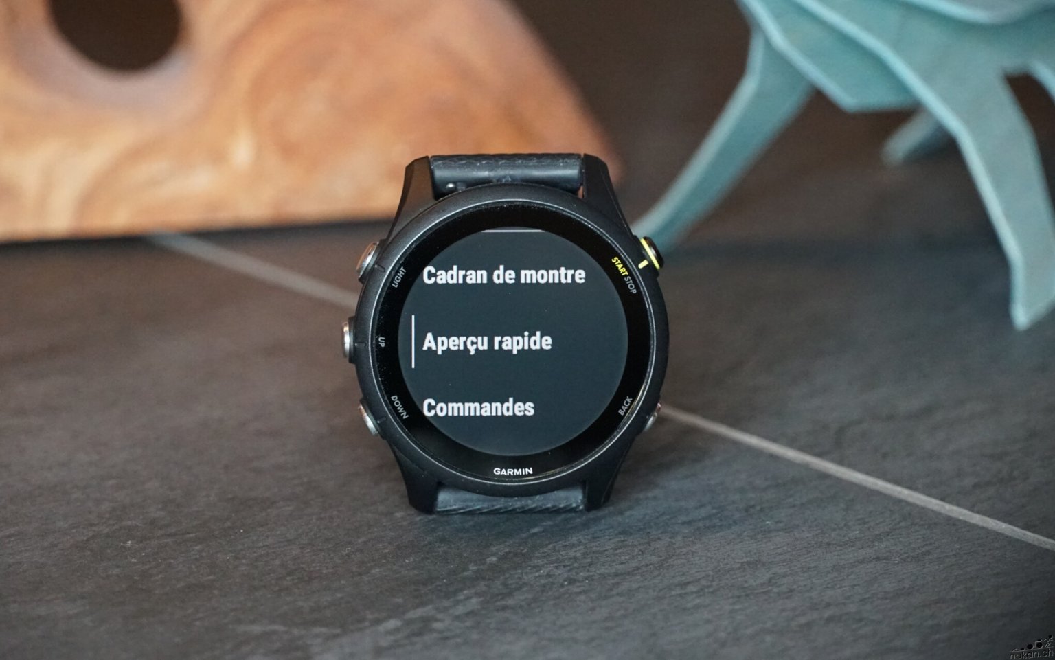 garmin forerunner widgets