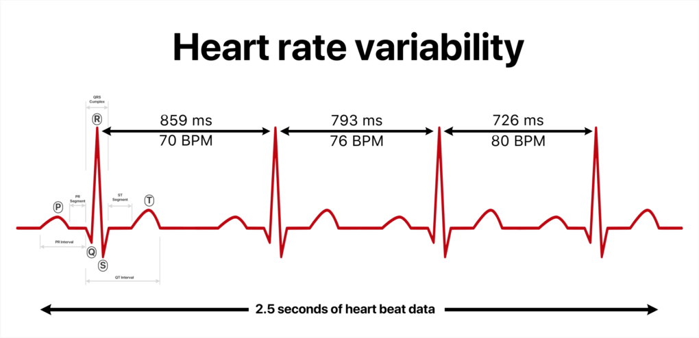Tout savoir variabilité fréquence cardiaque (VFC HRV)